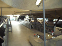 Taken at the bottom of the stairs from the third entrance, this sadly fuzzy picture shows all the escalators, ones coming down from the second entrance middle-left, and ones continuing down middle-right (June 2009)